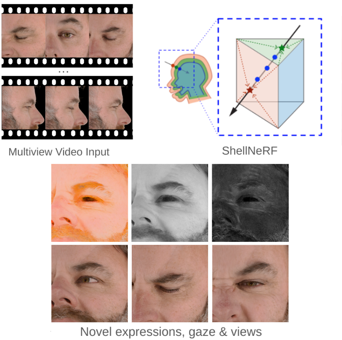 ShellNeRF